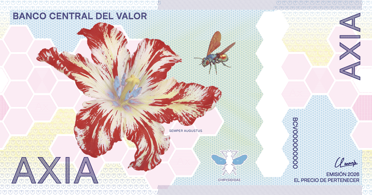 Anverso del billete